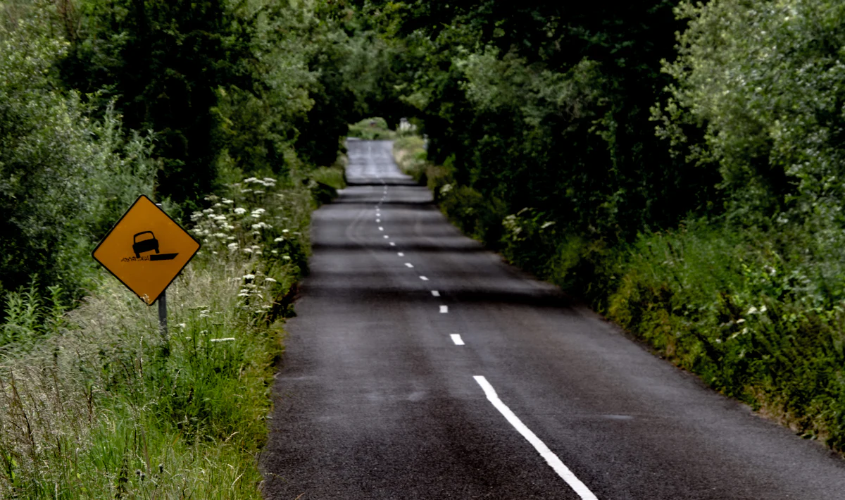 Tree-lined country road in Ireland