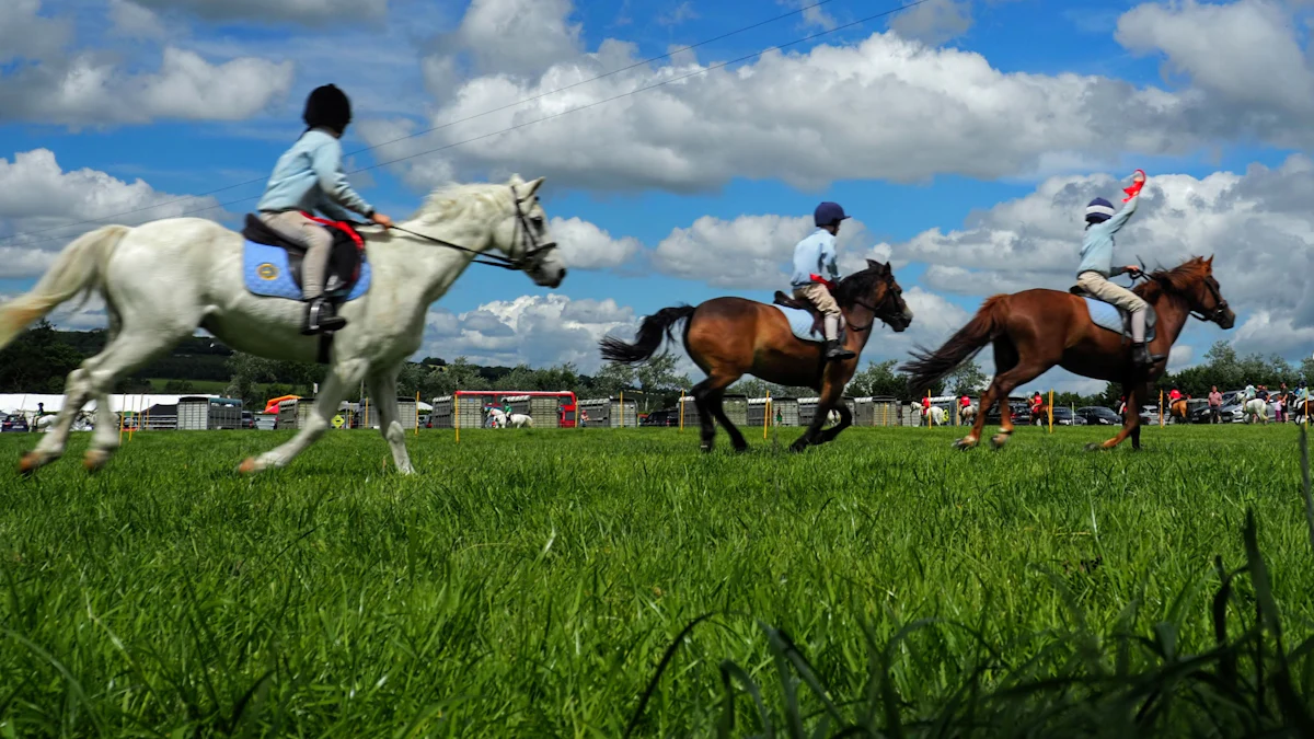 Racehorses galloping on a grass course